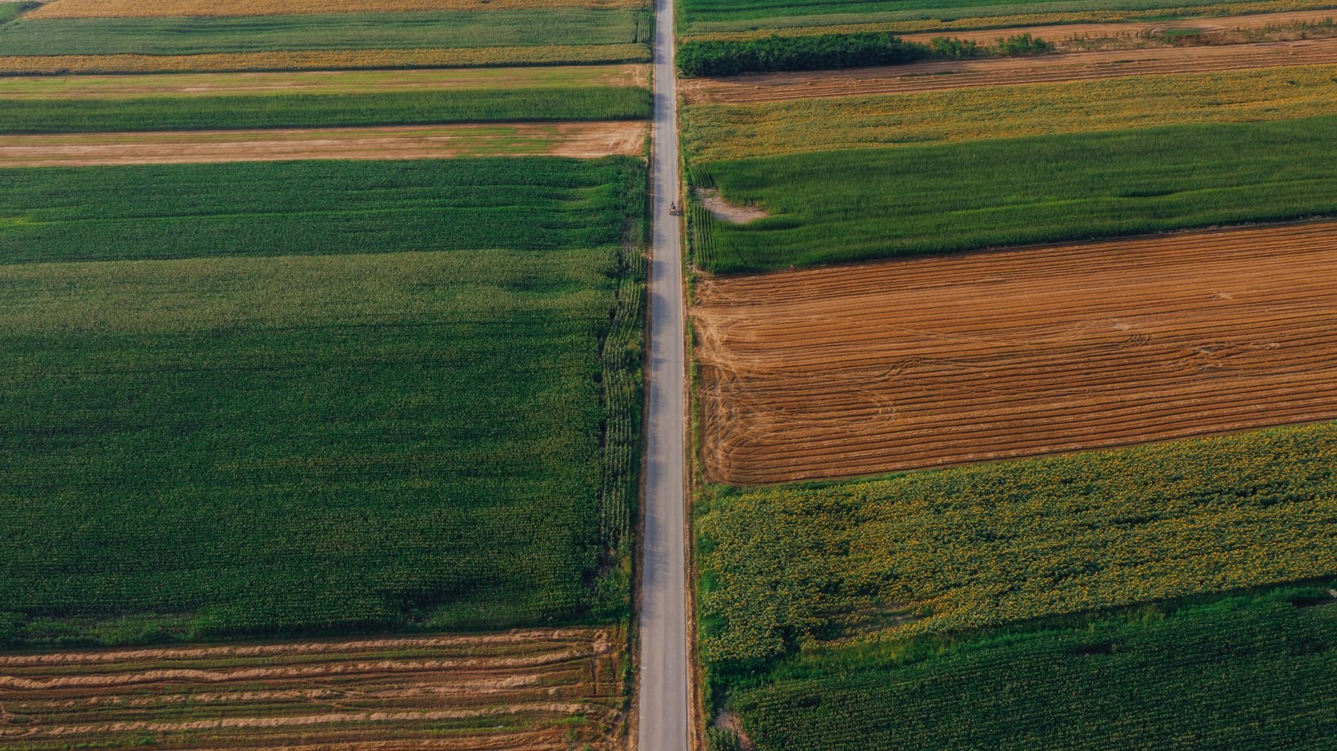 Aerial view of expansive Moldovan farmland — green agricultural fields